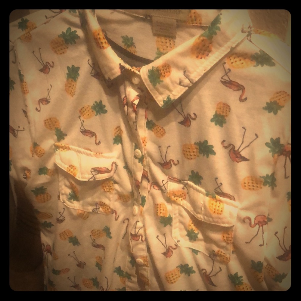 Fun Flamingo and Pineapple